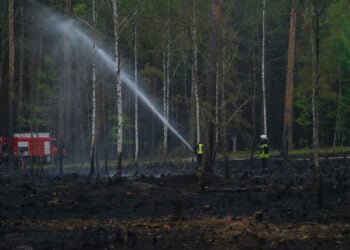Waldbrand Preschen; Foto: Blaulichtreport Lausitz