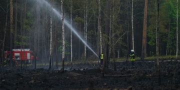 Waldbrand Preschen; Foto: Blaulichtreport Lausitz