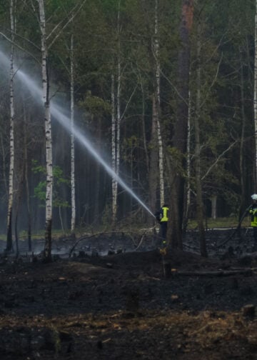 Waldbrand Preschen; Foto: Blaulichtreport Lausitz