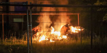Bild: Martin Borscht / Blaulichtreport Lausitz