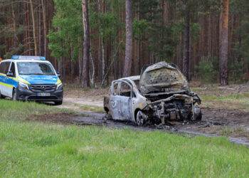 Gestohlenes Auto in Wald bei Byhleguhre ausgebrannt