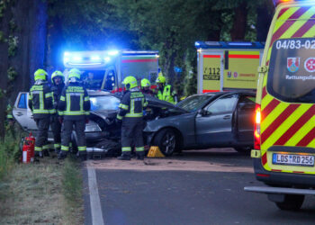 Vier Personen bei Frontalcrash in Schulzendorf verletzt