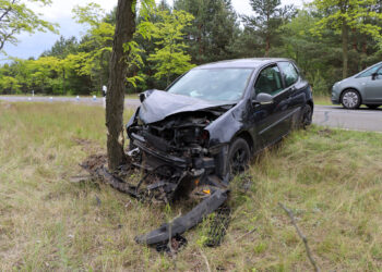 Auto gegen Baum geprallt: Unfall bei Neuendorf fordert fünf Verletzte