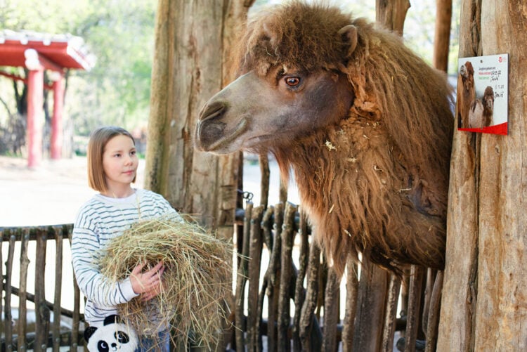 Tierpark Görlitz 