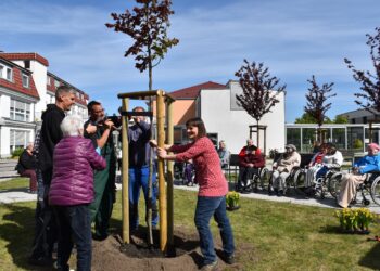 DRK Lausitz feierte Weltrotkreuztag mit Aktionen im OSL-Kreis