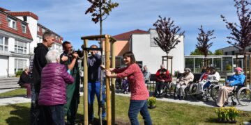 Bewohnerin Barbara Scholz (vorn l.) und Einrichtungsleiterin Berit Kenyon-Reuße (r.) unterstützten bei den letzten Handgriffen für den neuen Baum im DRK-Seniorenwohnpark Großräschen (Foto: DRK-KV Lausitz/Dunja Petermann).