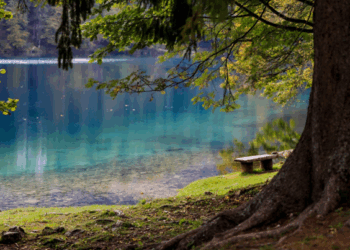Vom Tagebau zum Tourismus: Die schönsten neuen Seen der Region