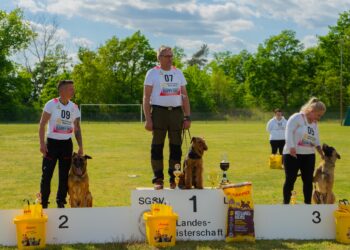 Hundesport auf Topniveau: Meisterschaftstage in Lauchhammer