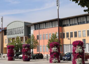 Lübben prüft neue Pachtverträge wegen Grundsteuer & Umsatzsteuerpflicht