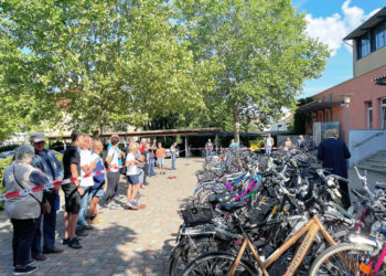 Fundsachen unter dem Hammer: Lübben lädt zur Versteigerung ein