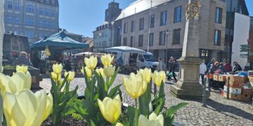 Bild: Andrea Budich/Stadt Senftenberg