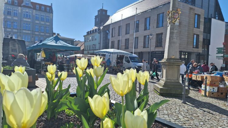 Bild: Andrea Budich/Stadt Senftenberg