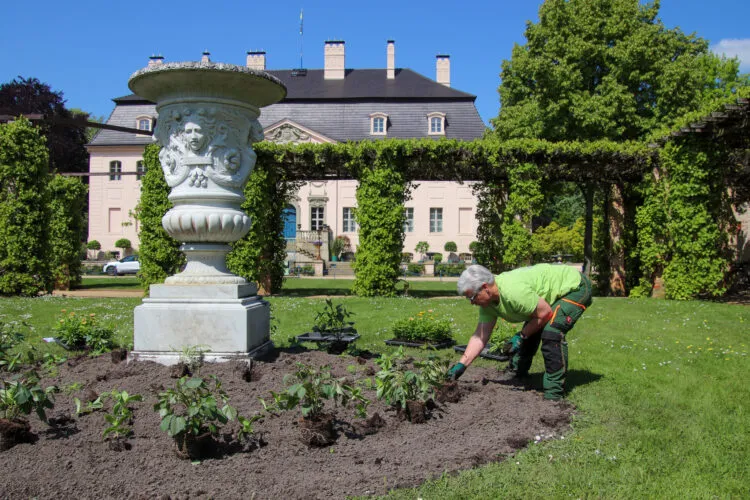 Sommerbepflanzung im Pergolagarten (Bild: © SFPM)