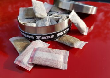 Pablo Snus – Tabakfreier Nikotinkick für erfahrene Genießer