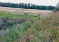 Pkw landet im Gleisbett – Bahnstrecke bei Lauchhammer vorübergehend gesperrt; Foto: Blaulichtreport Lausitz
