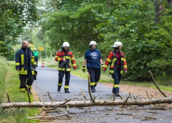 Blaulichtreport Lausitz