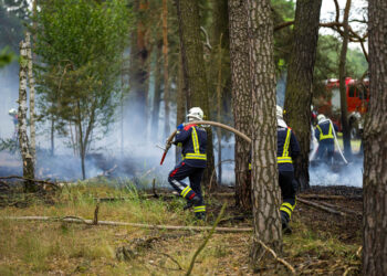 Feuerwehr zu Waldbrand bei Forst alarmiert. Teenager verantwortlich?