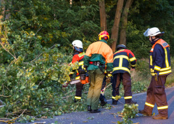 Sturmböen lösten zahlreiche Feuerwehreinsätze in Südbrandenburg aus
