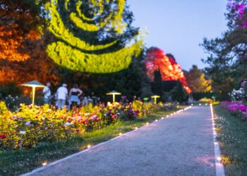 Christian Swiekattowski 