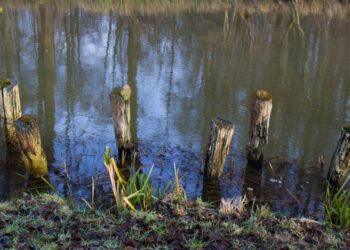 Wegen Trockenheit: Spree-Neiße verhängt ganztägig Wasserentnahmeverbot