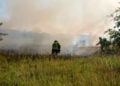 Brand am Flugplatz Cottbus; Foto: Blaulichtreport Lausitz