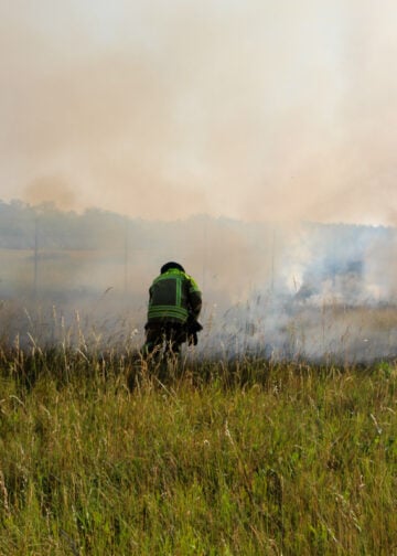 Brand am Flugplatz Cottbus; Foto: Blaulichtreport Lausitz