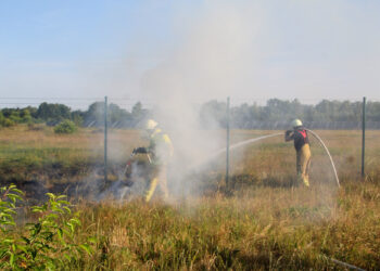 Brand am Flugplatz Cottbus; Foto: Blaulichtreport Lausitz