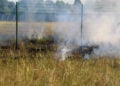 Brand am Flugplatz Cottbus; Foto: Blaulichtreport Lausitz
