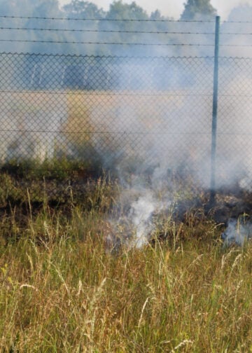Brand am Flugplatz Cottbus; Foto: Blaulichtreport Lausitz