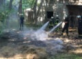 Strohballenbrand in Briesen: Foto: Blaulichtreport Lausitz