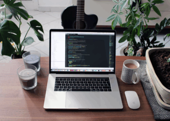 Erfolgreiche Webseiten mit einem WordPress Freelancer umsetzen