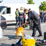 Blaulichtreport Lausitz