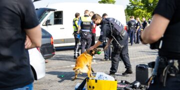 Blaulichtreport Lausitz