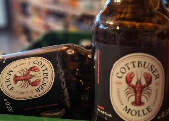 Molle Bier aus Cottbus: Regionales Bierprojekt erobert die Stadt