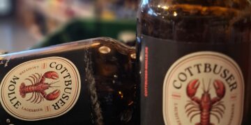 Molle Bier aus Cottbus: Regionales Bierprojekt erobert die Stadt