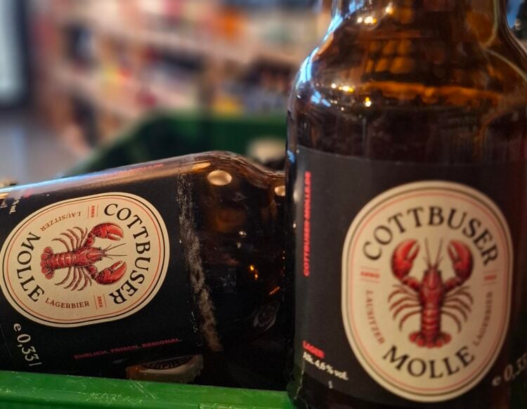 Molle Bier aus Cottbus: Regionales Bierprojekt erobert die Stadt
