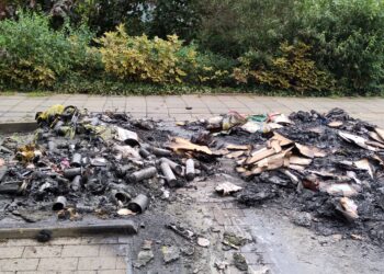 Mülltonnenbrand in Cottbus-Ströbitz; Foto: Niederlausitz aktuell