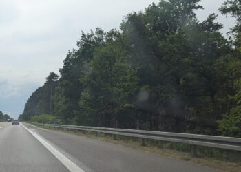 Fahrbahn hebt sich auf A15: Mehrere Autos beschädigt & Tempolimit