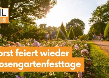 Countdown für Forster Rosengartenfesttage 2025