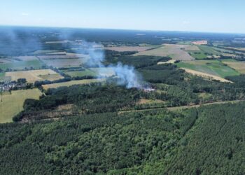 Waldbrand bei Peickwitz. Löscharbeiten seit Stunden im Gange