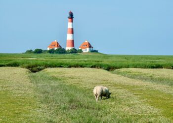 Kurzurlaub in Norddeutschland: 5 Reiseziele für nächsten Wochenendtrip