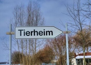 Tierheim Cottbus schlägt Alarm: Dringend Unterstützer gesucht