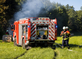 Brand bei Kolkwitz: Eine Person schwer verletzt, Waldfläche betroffen