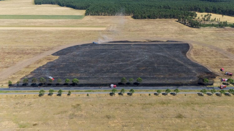 Bild: Luca Woitow / Blaulichtreport Lausitz