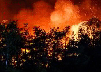 Tag 3 im Dauereinsatz: Kampf gegen Waldbrand Gohrischheide geht weiter