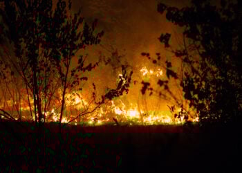 Waldbrand in der Gohrischheide dauert an: Blaulichtreport Lausitz