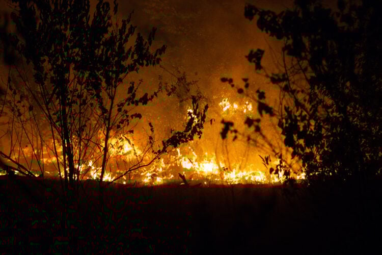 Waldbrand in der Gohrischheide dauert an: Blaulichtreport Lausitz