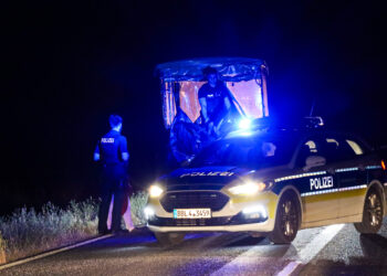 Kutscher schläft betrunken ein – Polizei stoppt Gespann nahe Bahnsdorf