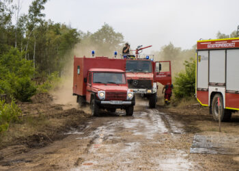 Gohrischheide in Flammen: 2.100 Hektar betroffen, 600 Helfer vor Ort