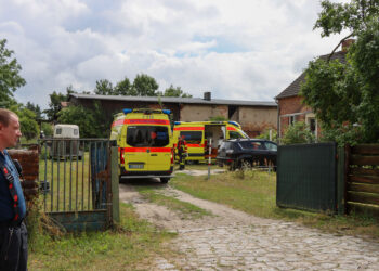 Mauereinsturz in Casel fordert zwei Verletzte; Foto: Blaulichtreport Lausitz